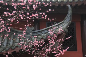 Wenshu's flying eaves.