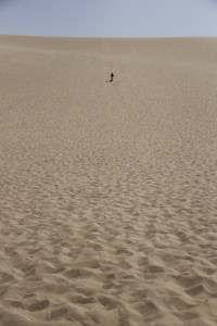 Bounding down the dunes.