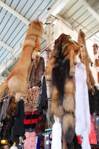 That is definitely a dog pelt.