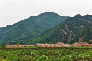 The burial mounds, built after the city was sacked.
