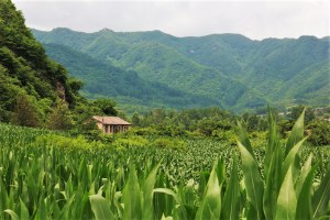 The countryside outside of Ji'an.
