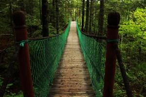 Rope Bridge