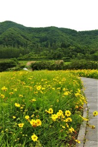 Here once sat the palace.